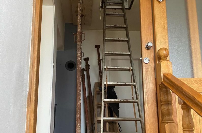 PHOTO-2021-02-22-14-52-41 10